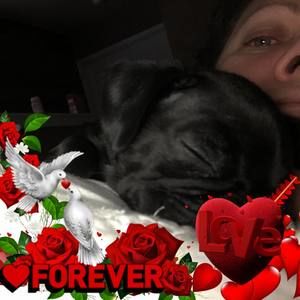 Meet your Posher, Tc